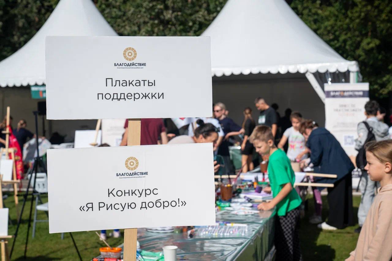 Фестиваль 